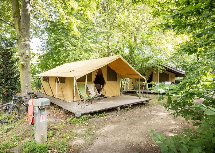 Campings à Paris
