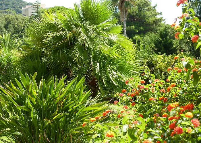 Hôtels à Ajaccio (Corsica)