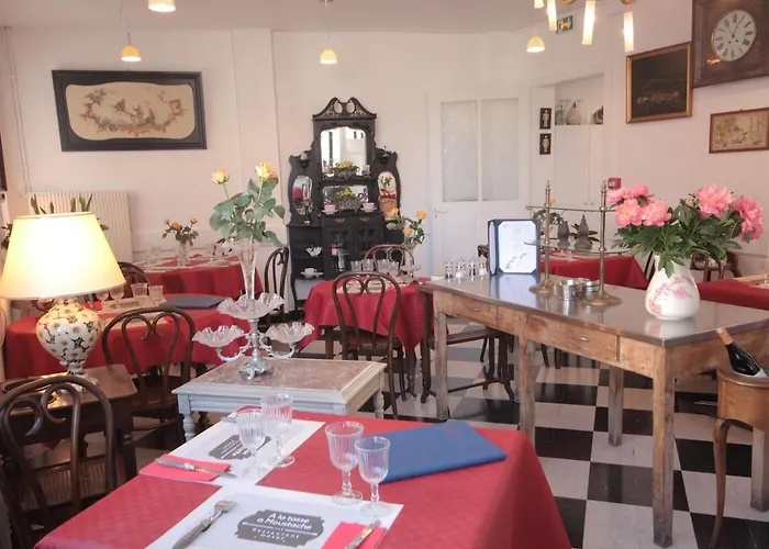 Hotel A La Tasse A Moustache Thonon-les-Bains