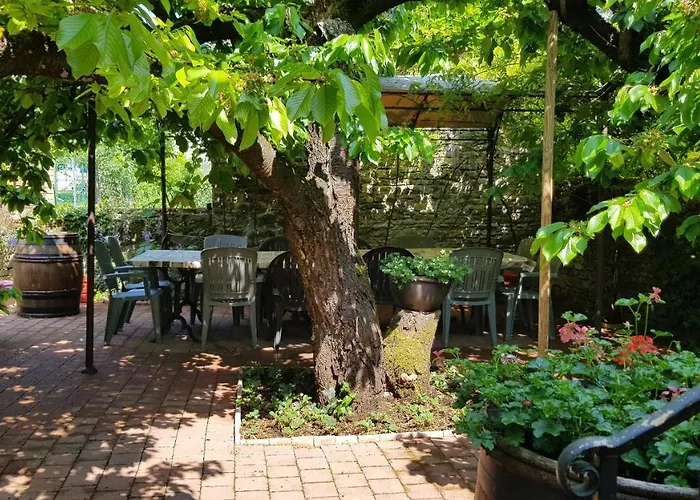Chez Laurence Santenay 