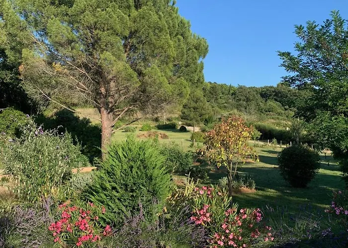 Chambre d'hôtes Le Cèdre Apt