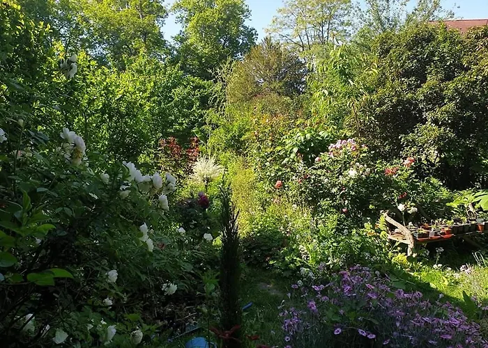 La petite maison du jardin d'Apollon Dourdan