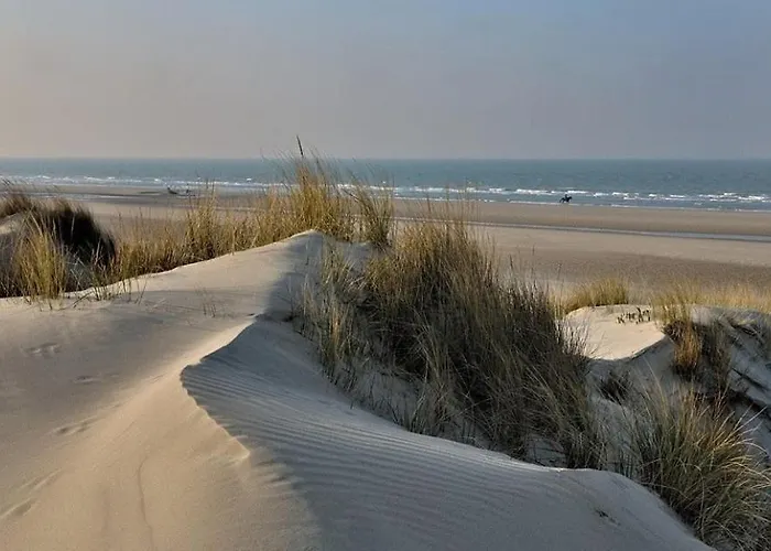 Bed and Breakfast L Imperatrice à Berck