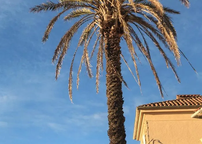Hotel Castel Pierre Lisse à Hyères