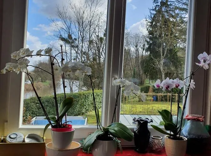 Le Manoir du coeur volant B&B Saint-Aignan 