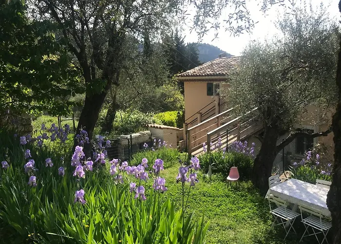 Residence Lou Naouc Grasse avec Piscine