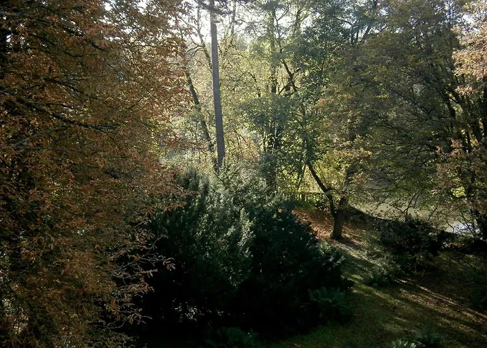 La Reverie Montbéliard