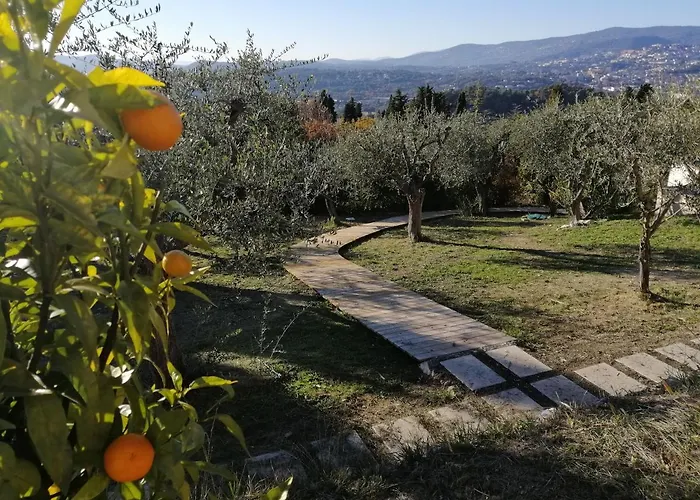 Les lodges de l'oliveraie de Virevent Grasse avec Piscine