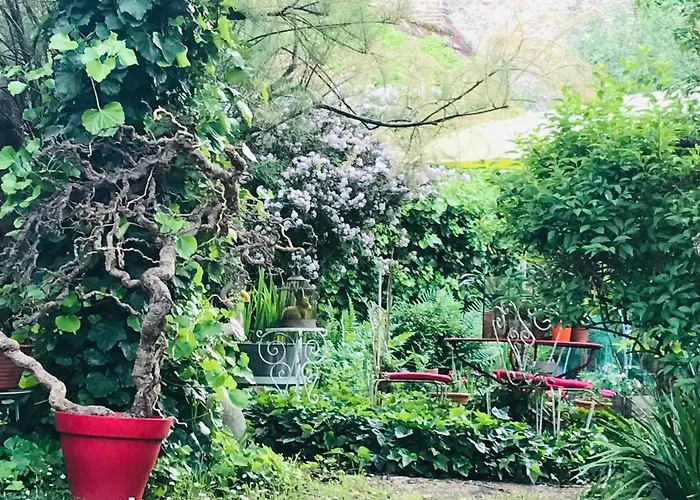 La Maison des Roses Moulins 