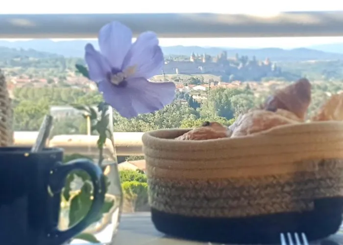 Panorama Suite romantique&Spa Carcassonne