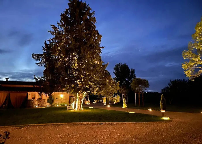 Chateau Du Go Albi