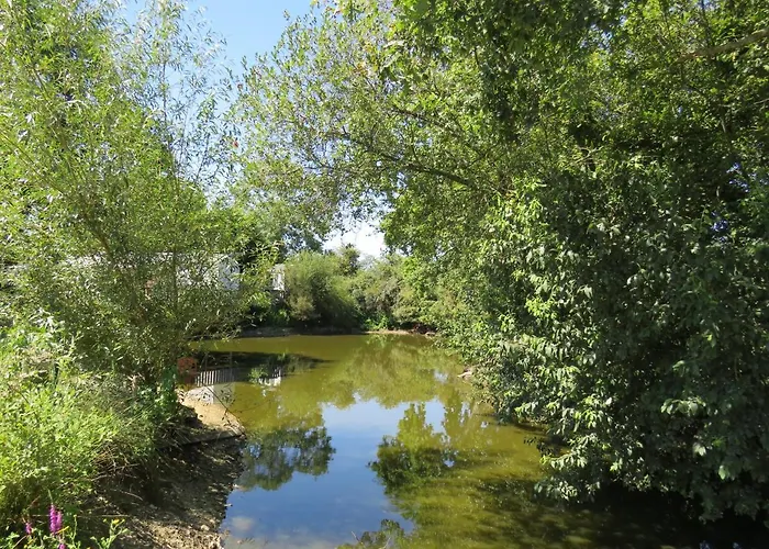 Chalet Les P'tites Maisons dans la Prairie Sallertaine avec Piscine