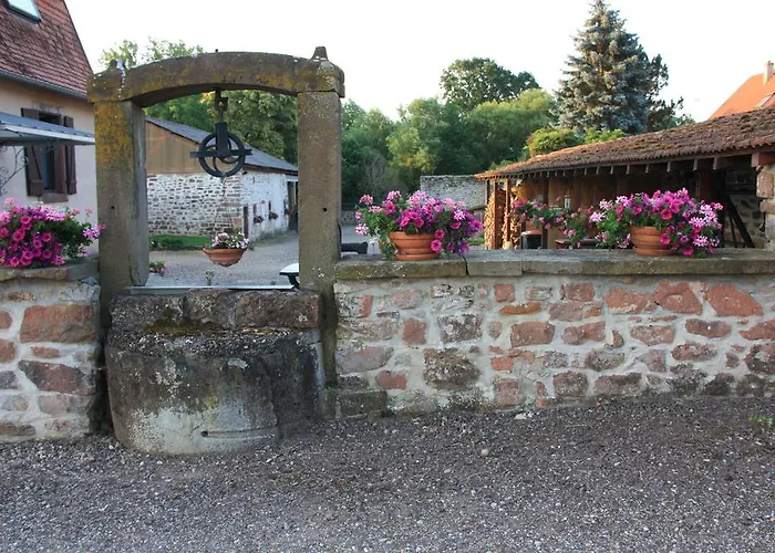 Chez Sabine et Laurent Saverne
