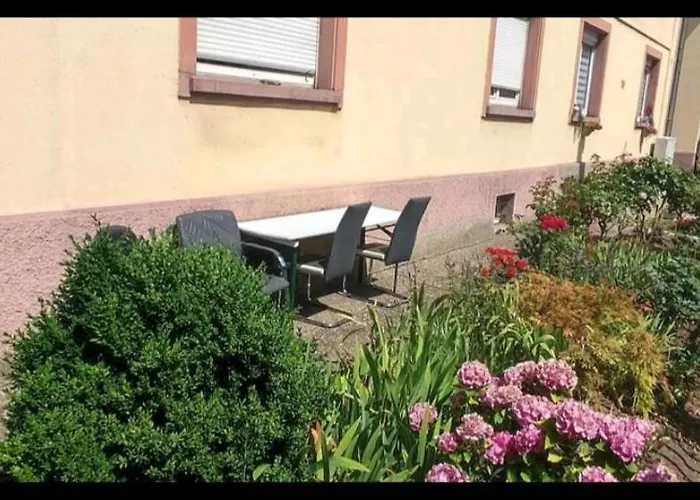 Chambre Zen Gare/Laiterie, Eau Pure, Chat Strasbourg