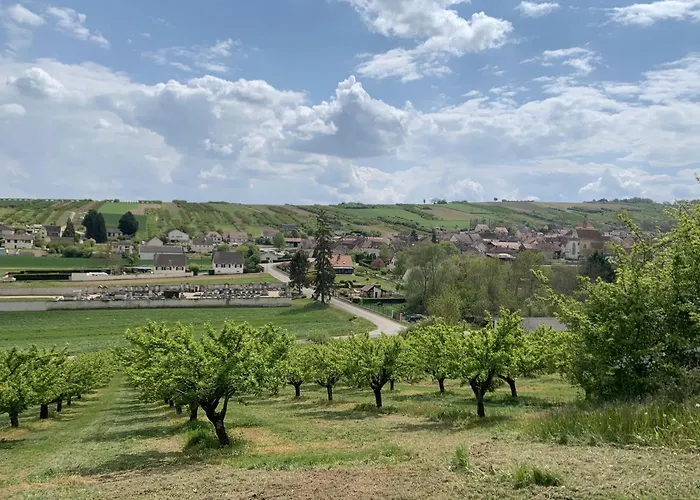 Charmante maison de ville avec jardin et piscine Auxerre avec Piscine
