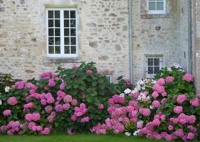 Bed and Breakfast Manoir De Savigny à Valognes