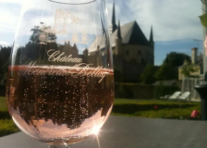Hotel Spa Le Relais Du Bellay Montreuil-Bellay