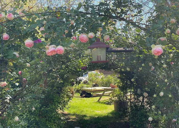 Gites le Pimayon Manosque avec Piscine
