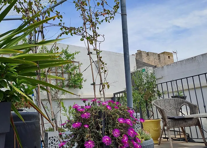 Bed and Breakfast Le Petit Patio à Aigues-Mortes