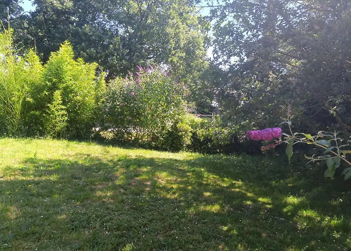 Maison Datcha Gîte avec jardin et piscine privée Lavaur  avec Piscine