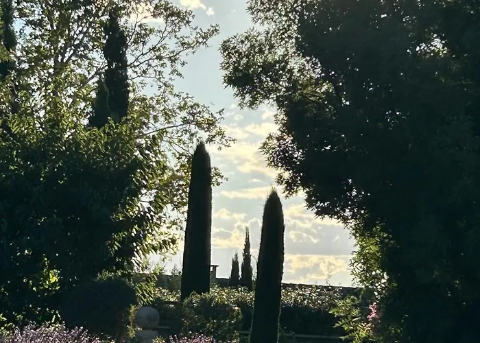 Hotel Mas des IRIS à Saint-Rémy-de-Provence