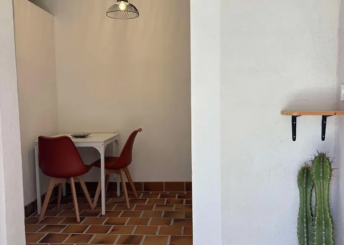 Gite - Douceur Du Sud, Entre Mer Et Campagne Hyères