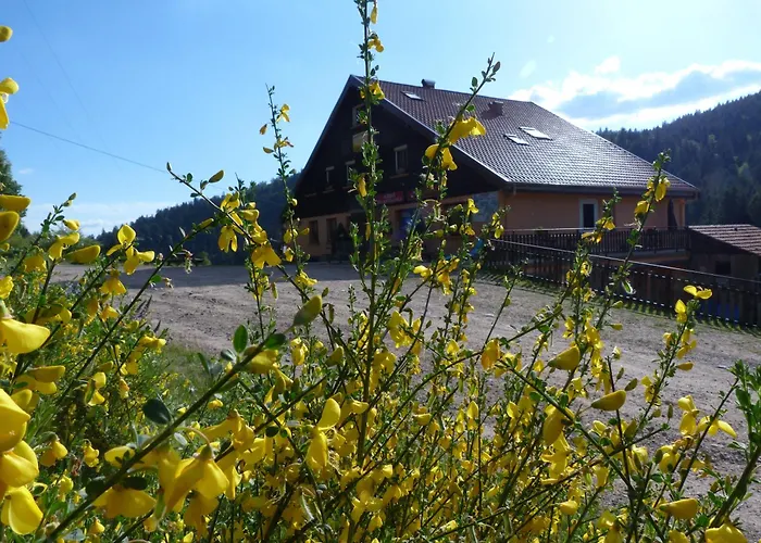 Auberge Des Hauts Viaux La Bresse