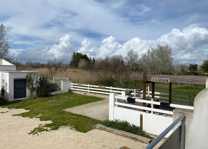 Les Maisons Du Paty Arles avec Piscine