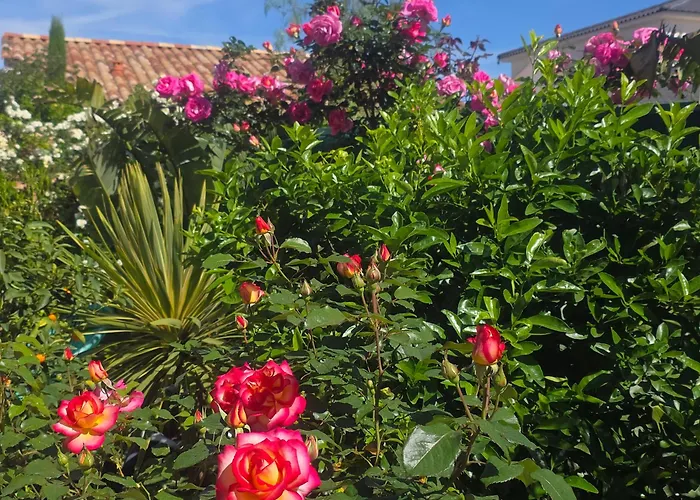 Chambre d'hôtes dans Villa Diane La Londe-les-Maures