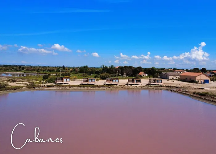La Maison Du Directeur De Salin De Giraud avec Piscine