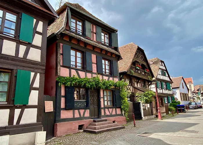 Gîte de caractère au calme , proche quartier historique, Au Merlenchanteur Schiltigheim