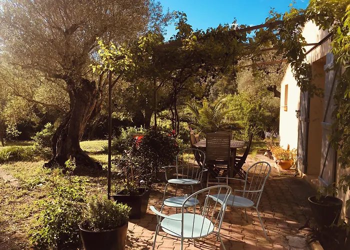Bed and Breakfast Bastide Sainte Trinide à Sanary-sur-Mer