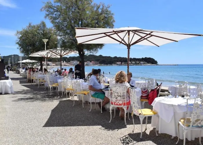 Amadeus Guest House - Chambres d'Hôtes La Seyne-sur-Mer