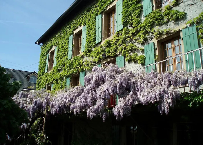 La maison de Concise - Adultes Uniquement Thonon-les-Bains
