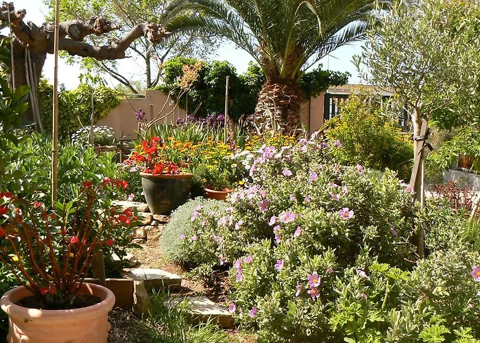 Bed and Breakfast L' Escale Tranquille à Sète