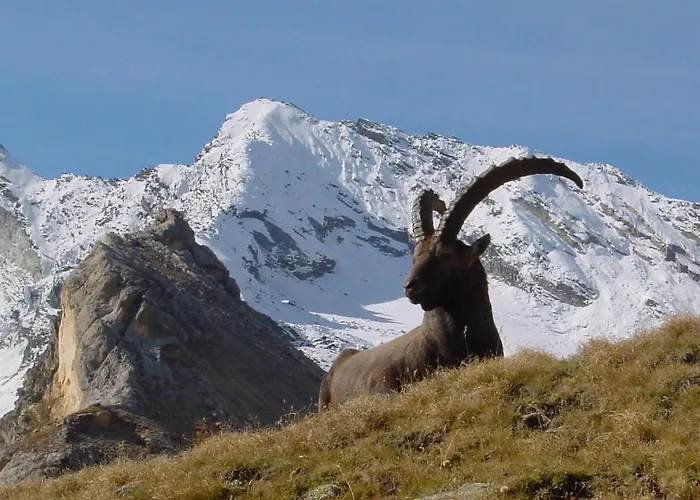 Hôtel de La Vanoise Pralognan-la-Vanoise