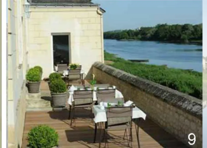 Domaine du Héron Chinon