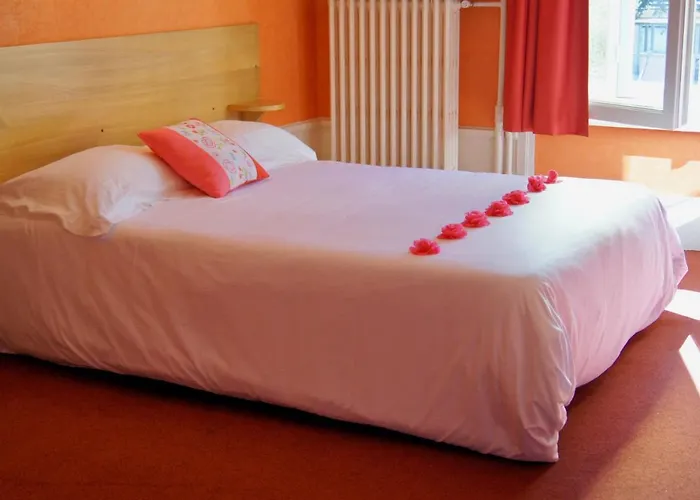 Hotel Le Lyon Bron