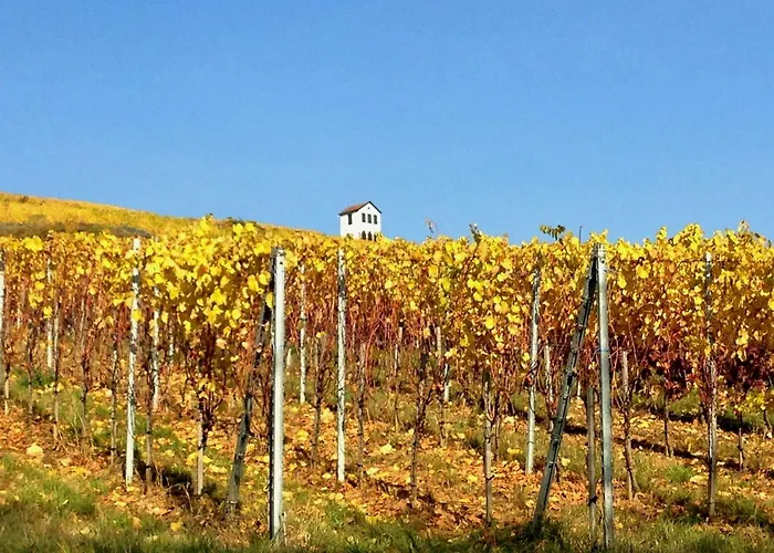 Chambres d'hôtes chez Martine Barr
