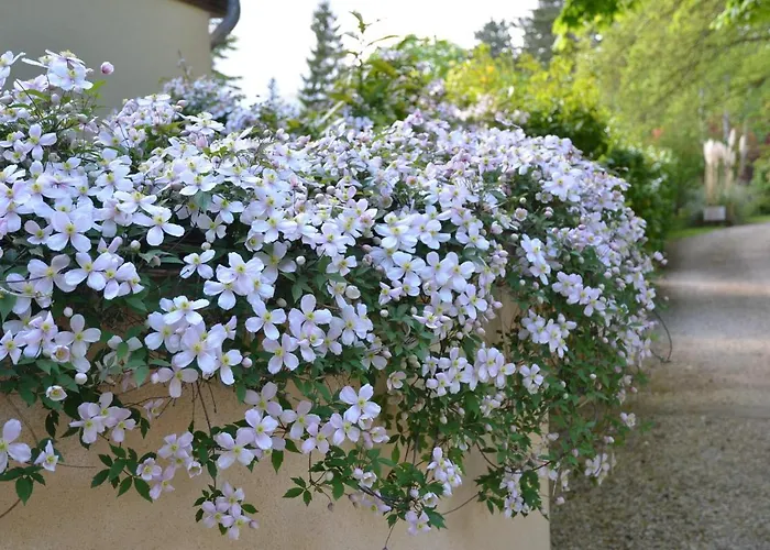 Le Clos Fleuri Giverny
