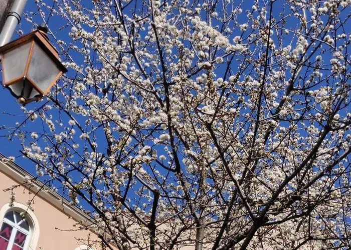 5 Chambres en Ville Clermont-Ferrand